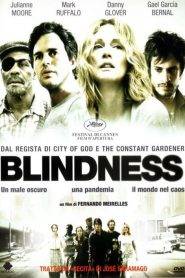 Blindness – Cecità